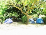 Picture of Camping  Les Tomasses