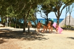 Picture of Camping Bagheera Village Naturiste