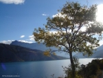 Photo Camping Du Lac