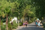 Blue Bayou