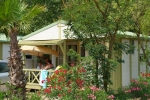 Photo Blue Bayou