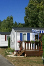 Photo Flower Camping Les Brillas