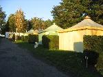 Photo Flower Camping Les Brillas
