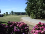 Photo Camping Des Ormes
