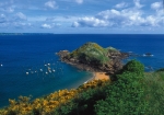Photo Le Neptune