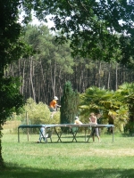 Photo Aire Naturelle Du Toy
