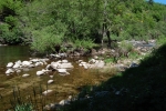 Photo Chon Du Tarn