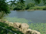 Photo Camping De Besancon-chalezeule