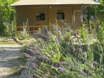 Photo Camping Du Domaine D’anglas