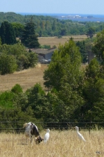 Photo Vacances à La Ferme