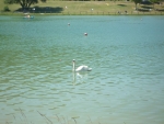 Photo Domaine Du Lac De Champos