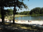 Photo Flower Camping Du Lac De Lislebonne
