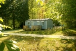 Photo Flower Camping Du Lac De Lislebonne