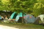 Photo Flower Camping Du Lac De Lislebonne