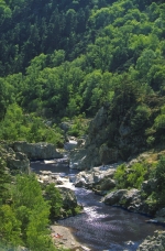 Photo Rock’n Camp / Camping Au Bord De L’eau