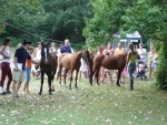 Photo Camping De La Pelonie