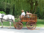 Photo Camping De La Pelonie