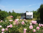 Photo Camping Des Alouettes