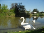 Photo Le Marqueval