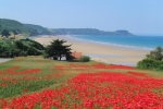 Camping Plage De Saint Pabu