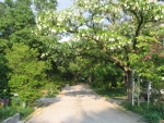 Photo Domaine De La Coronne