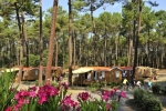 Camping Capfun Landisland