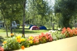 Photo Flower Camping Le Lidon