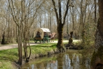 Photo Flower Camping Le Lidon