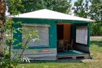 Photo Flower Camping Le Lidon
