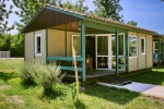 Photo Flower Camping Le Lidon