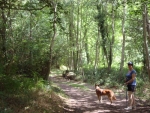 Photo Camping Des Rochers Des Parcs