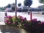 Photo Le Domaine Du Hamel