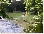 Photo Camping D’ibarron