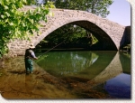 Photo Camping D’ibarron