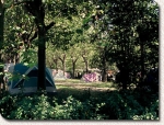 Photo Camping D’ibarron