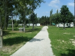 Campilo