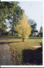 Photo Domaine De Landrevie