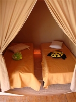 Photo Flower Camping Les 3 Ours