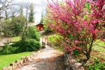 Photo Camping La Serre