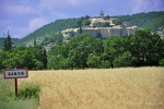 Photo L’épi Bleu