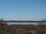 Photo Camping Marina