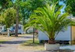 Photo Camping Marina