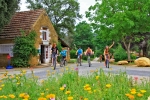 Photo Domaine Des Chenes Verts