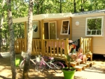 Photo Flower Camping Lou Castel