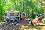 Photo Flower Camping Lou Castel