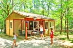 Photo Flower Camping Lou Castel