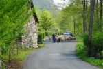 Photo Pyrenees Natura