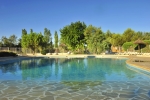 Photo Camping Capfun Fleur De Camargue