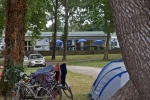 Photo Flower Camping Le Conleau