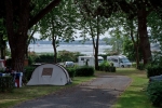 Photo Flower Camping Le Conleau